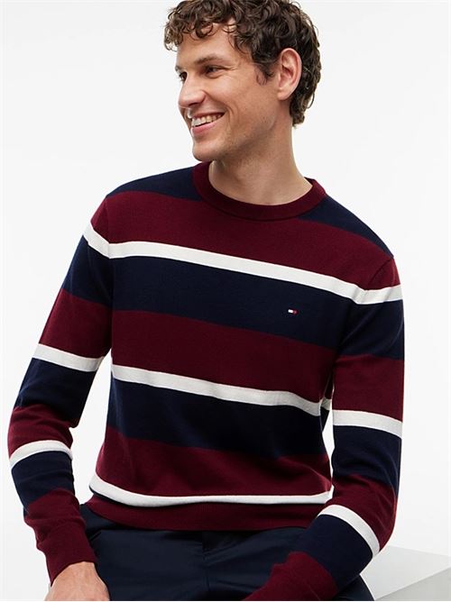 pima org ctn cashmere crew neck TOMMY HILFIGER | MW0MW280460A7
